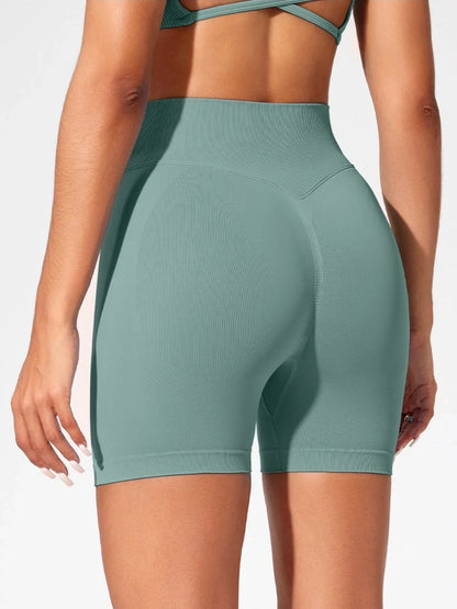 One Body SculptFlex High-Waist Shorts